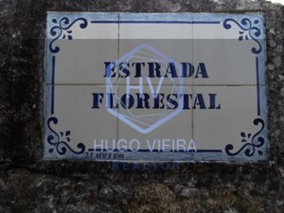 Moradia T1 para Venda em Afife Foto 16