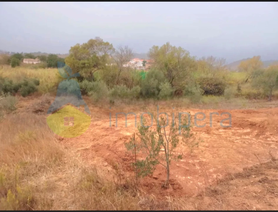 Terreno Agricola ou Rústico para Venda em São Bartolomeu de Messines Foto 2