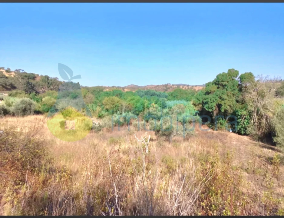 Terreno Agricola ou Rústico para Venda em São Bartolomeu de Messines Foto 1