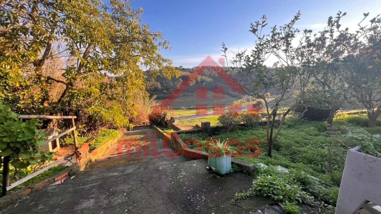 Armazém para Venda em Lourinhã e Atalaia Foto 7