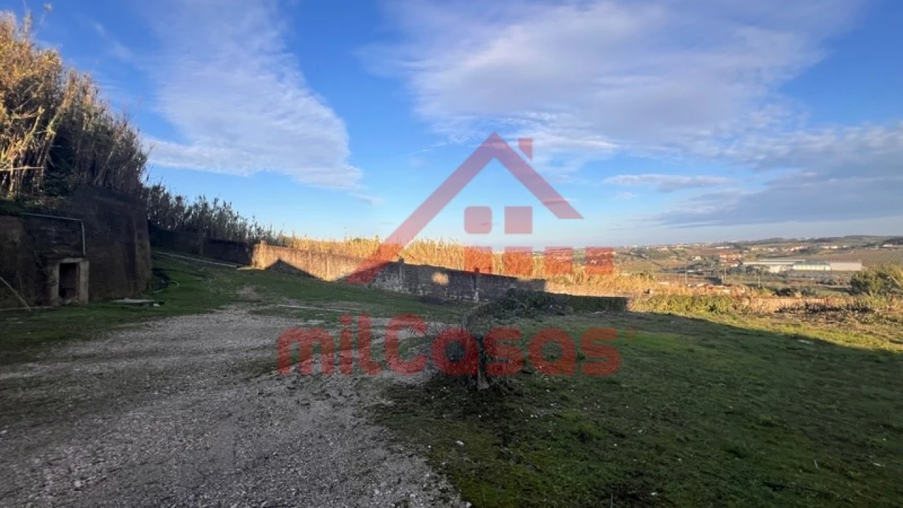Armazém para Venda em Lourinhã e Atalaia Foto 8