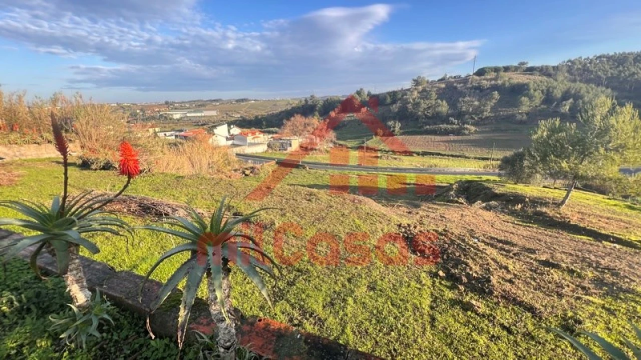 Armazém para Venda em Lourinhã e Atalaia Foto 9