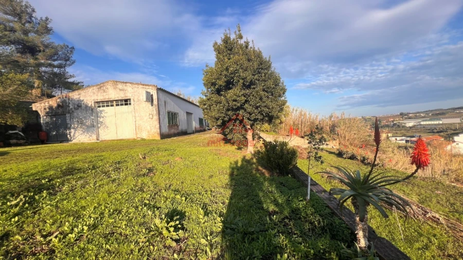 Armazém para Venda em Lourinhã e Atalaia Foto 1