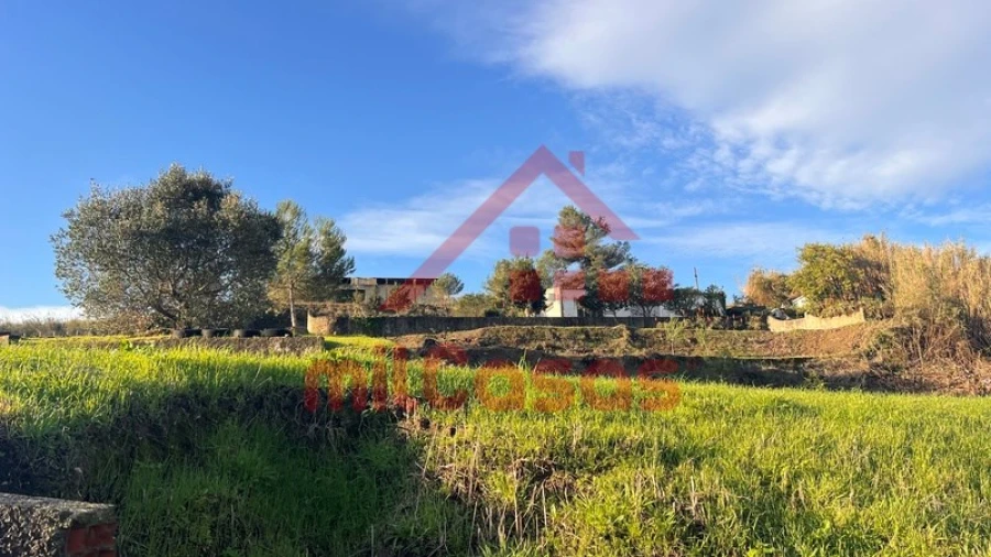 Armazém para Venda em Lourinhã e Atalaia Foto 3