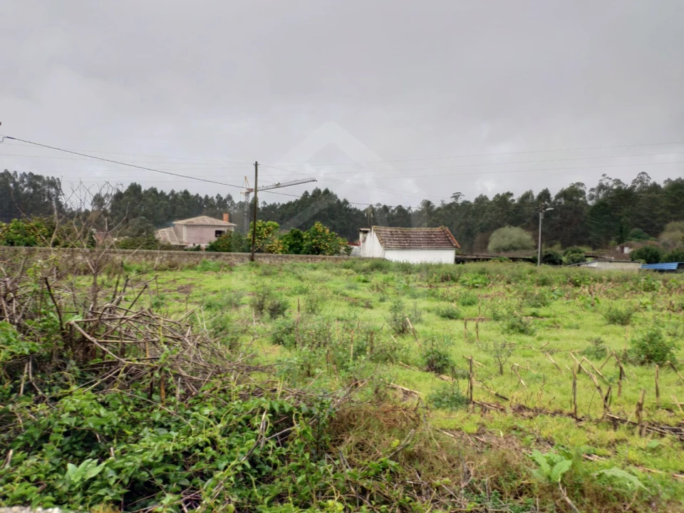 Terreno para Venda em O. Azeméis, Riba-Ul, Ul, Macinhata Seixa, Madail Foto 7