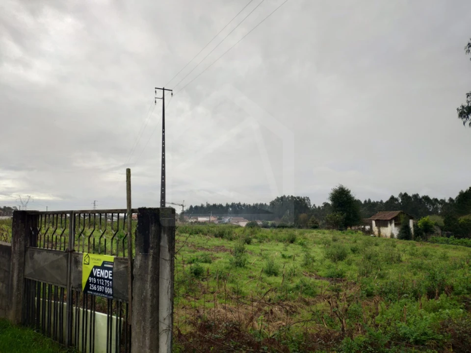 Terreno para Venda em O. Azeméis, Riba-Ul, Ul, Macinhata Seixa, Madail Foto 2