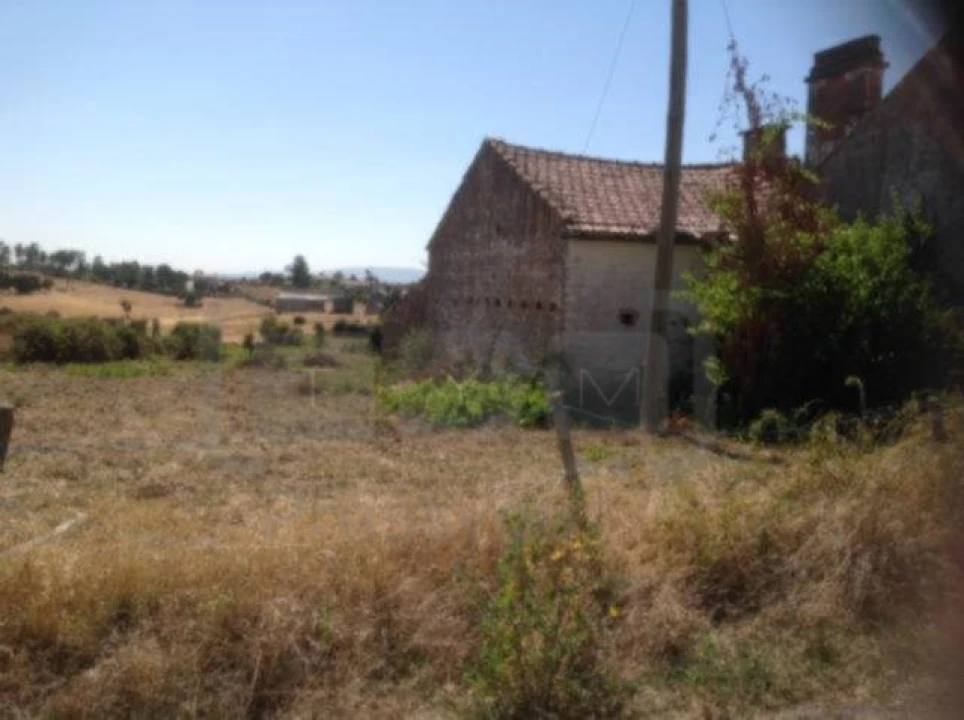 Terreno Agricola ou Rústico para Venda em São Pedro de Tomar Foto 2