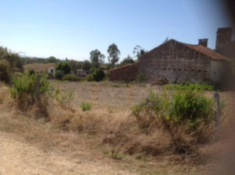 Terreno Agricola ou Rústico para Venda em São Pedro de Tomar Foto 4