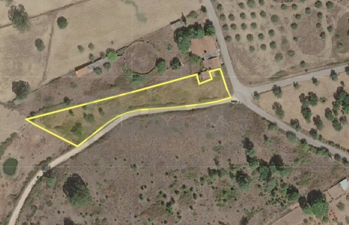 Terreno Agricola ou Rústico para Venda em São Pedro de Tomar Foto 1