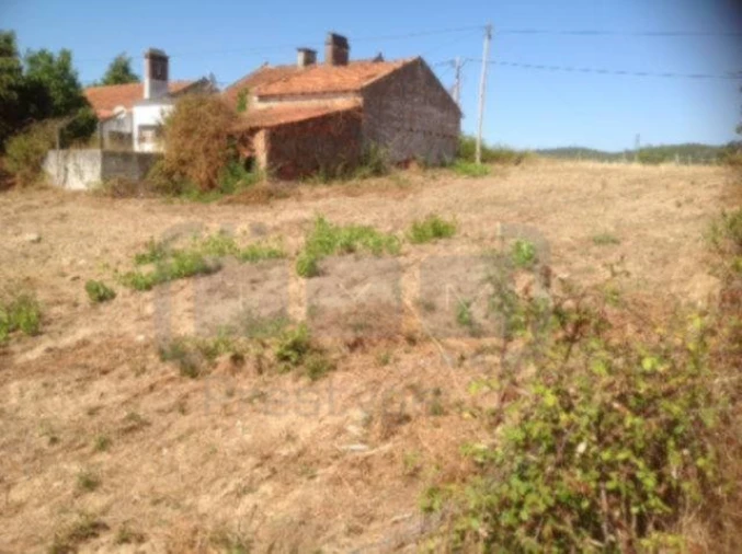 Terreno Agricola ou Rústico para Venda em São Pedro de Tomar Foto 3