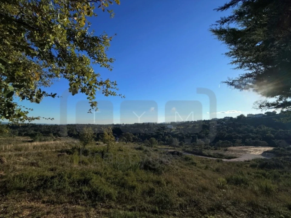 Terreno para Venda em Carregueiros Foto 4