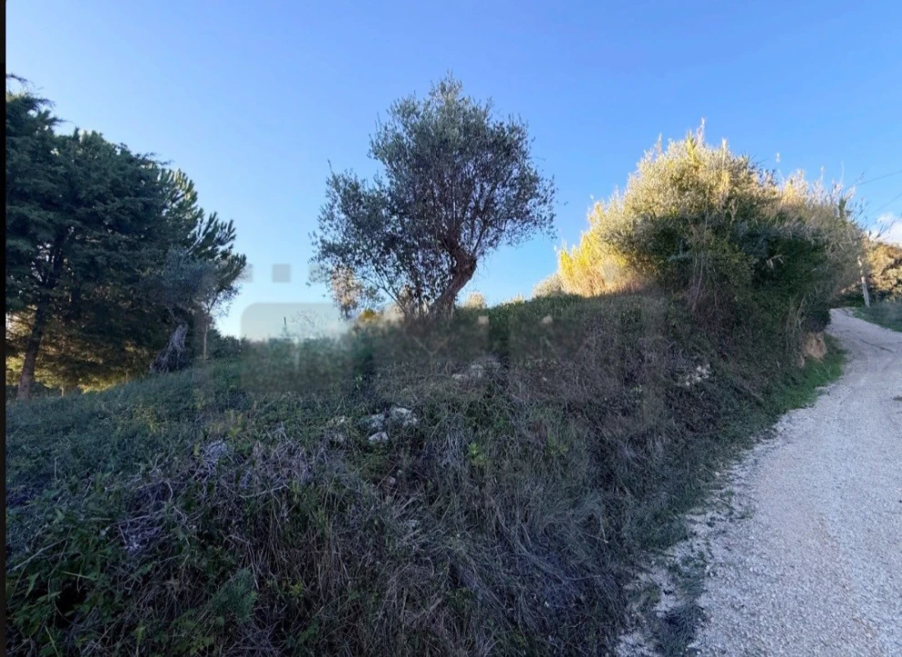 Terreno para Venda em Carregueiros Foto 6
