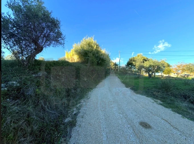 Terreno para Venda em Carregueiros Foto 3