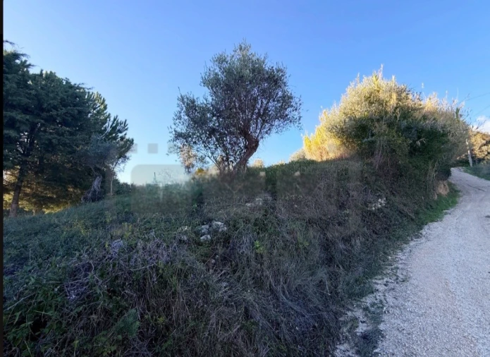 Terreno para Venda em Carregueiros Foto 6