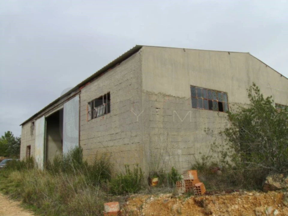 Terreno Agricola ou Rústico para Venda em Casais e Alviobeira Foto 3