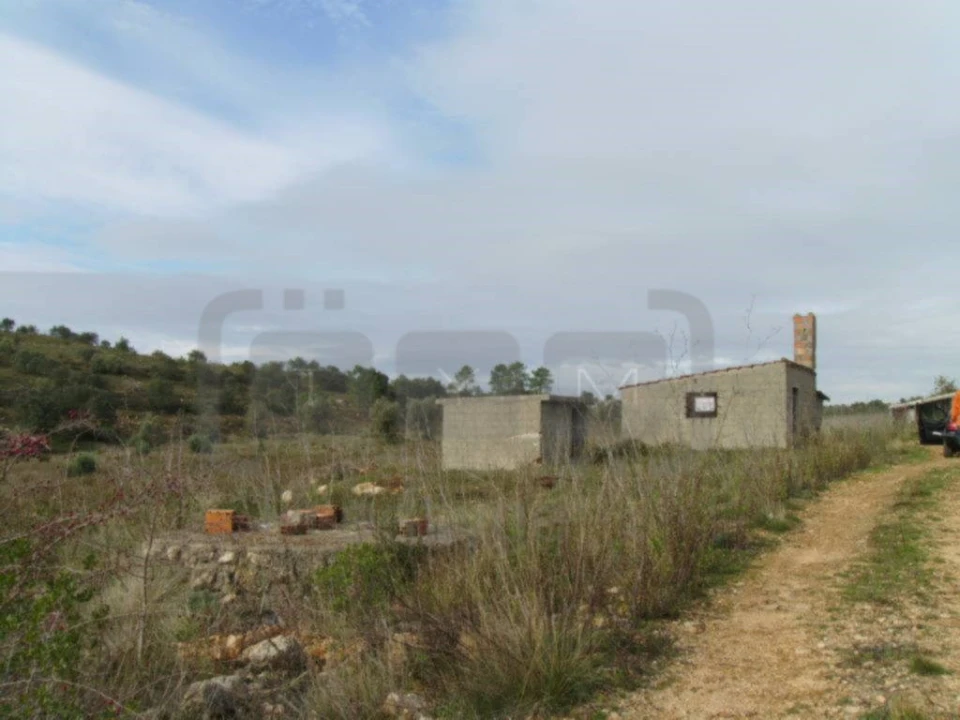 Terreno Agricola ou Rústico para Venda em Casais e Alviobeira Foto 2