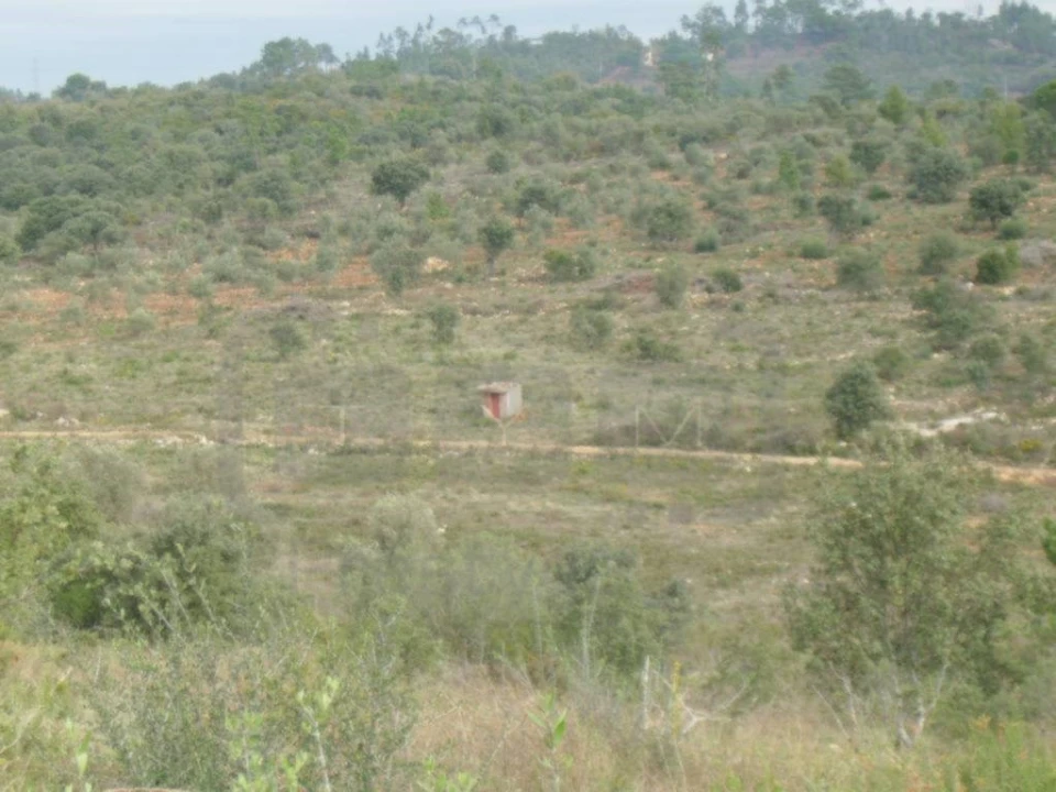 Terreno Agricola ou Rústico para Venda em Casais e Alviobeira Foto 8