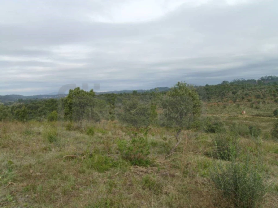 Terreno Agricola ou Rústico para Venda em Casais e Alviobeira Foto 4