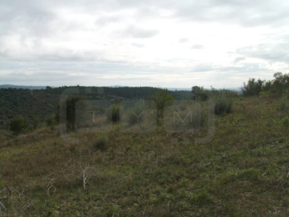 Terreno Agricola ou Rústico para Venda em Casais e Alviobeira Foto 9
