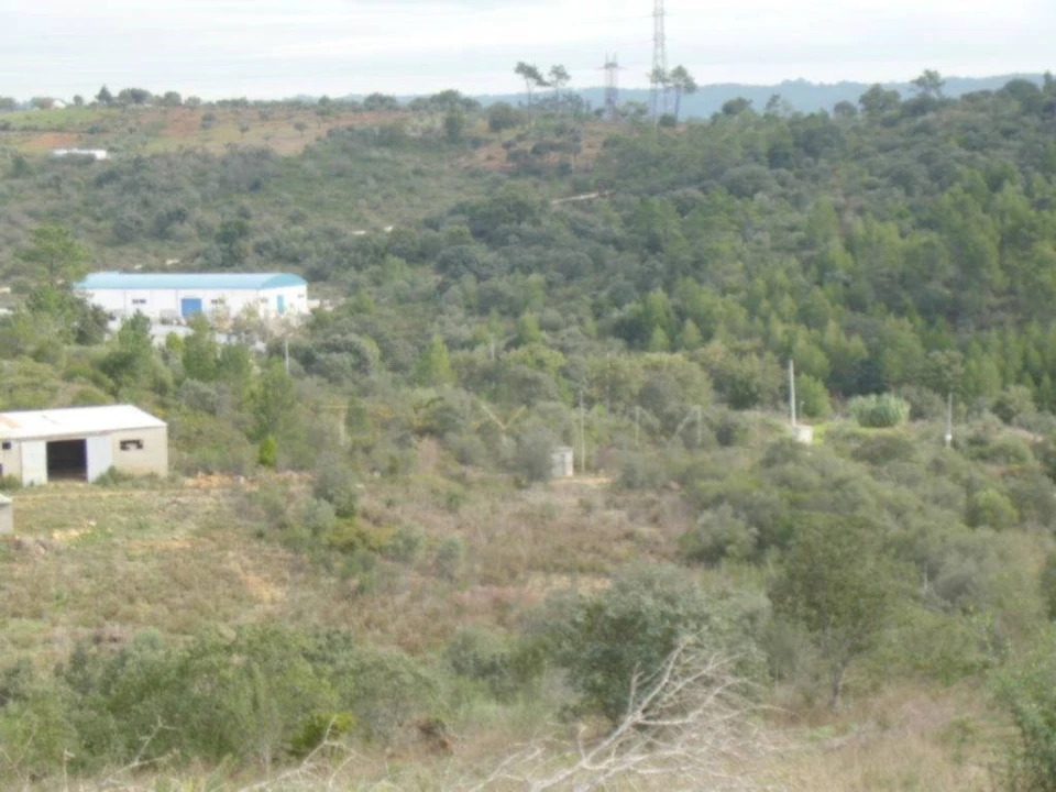 Terreno Agricola ou Rústico para Venda em Casais e Alviobeira Foto 7