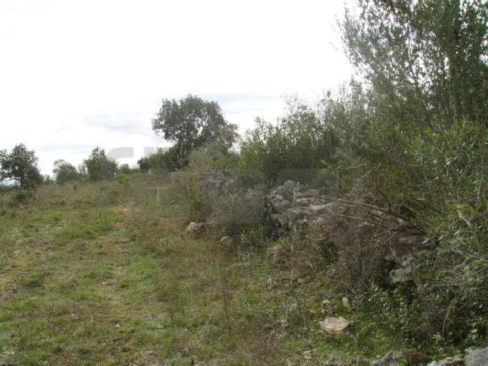 Terreno Agricola ou Rústico para Venda em Casais e Alviobeira Foto 11