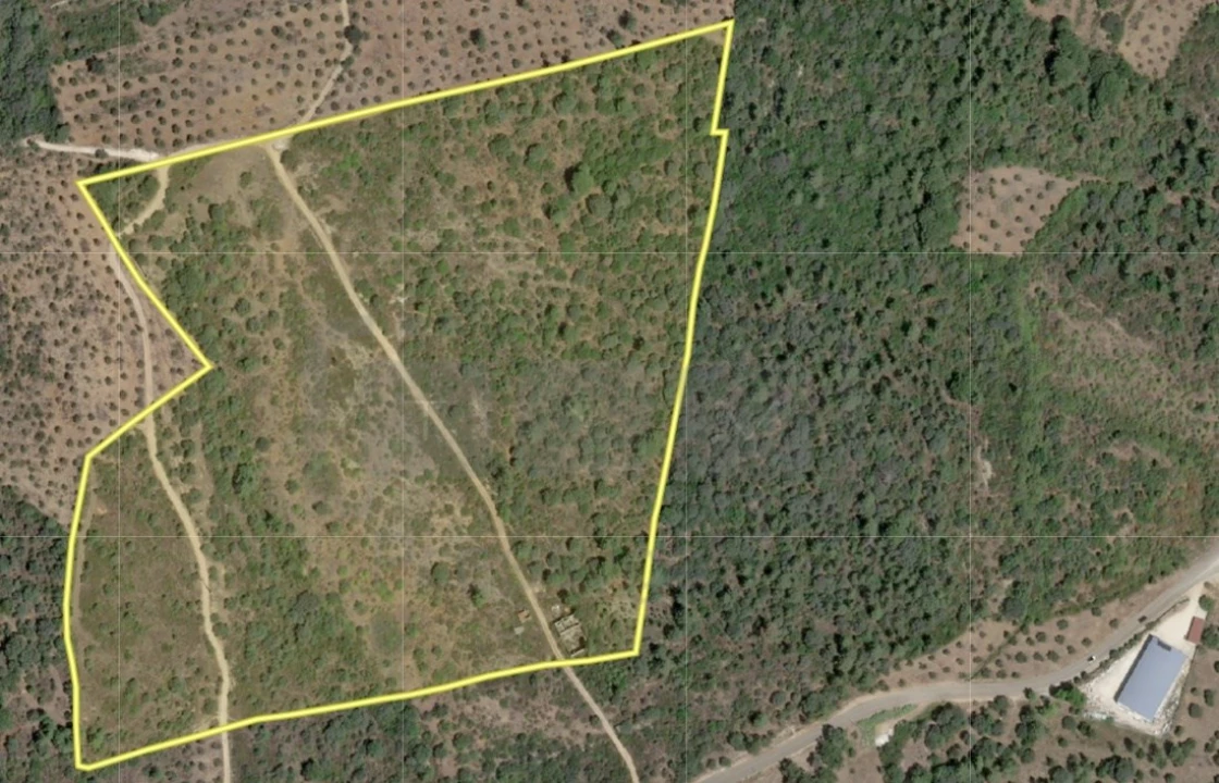 Terreno Agricola ou Rústico para Venda em Casais e Alviobeira Foto 13