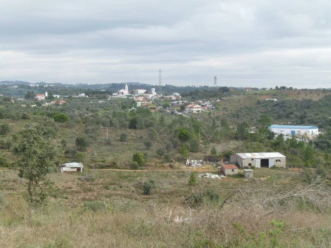 Terreno Agricola ou Rústico para Venda em Casais e Alviobeira Foto 5