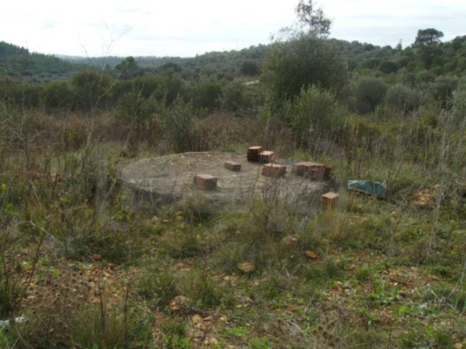 Terreno Agricola ou Rústico para Venda em Casais e Alviobeira Foto 6