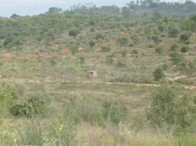 Terreno Agricola ou Rústico para Venda em Casais e Alviobeira Foto 8