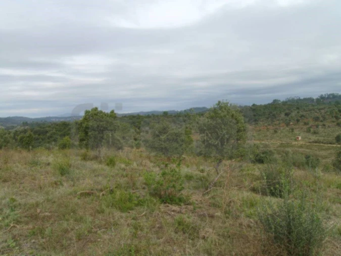 Terreno Agricola ou Rústico para Venda em Casais e Alviobeira Foto 4