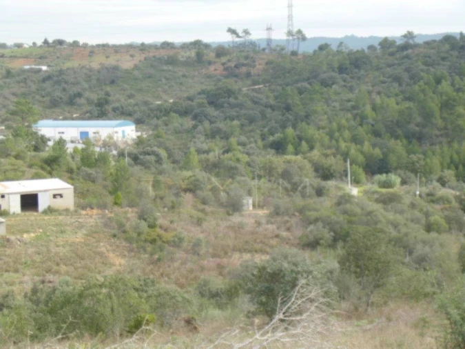 Terreno Agricola ou Rústico para Venda em Casais e Alviobeira Foto 7