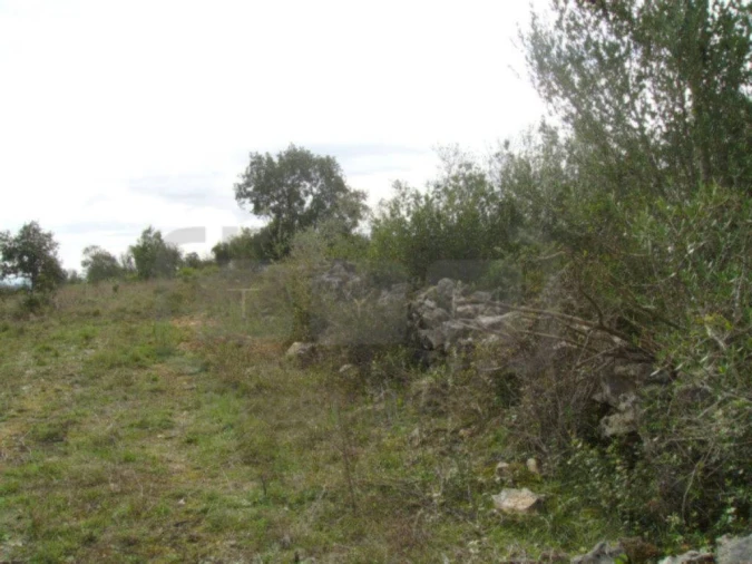 Terreno Agricola ou Rústico para Venda em Casais e Alviobeira Foto 11