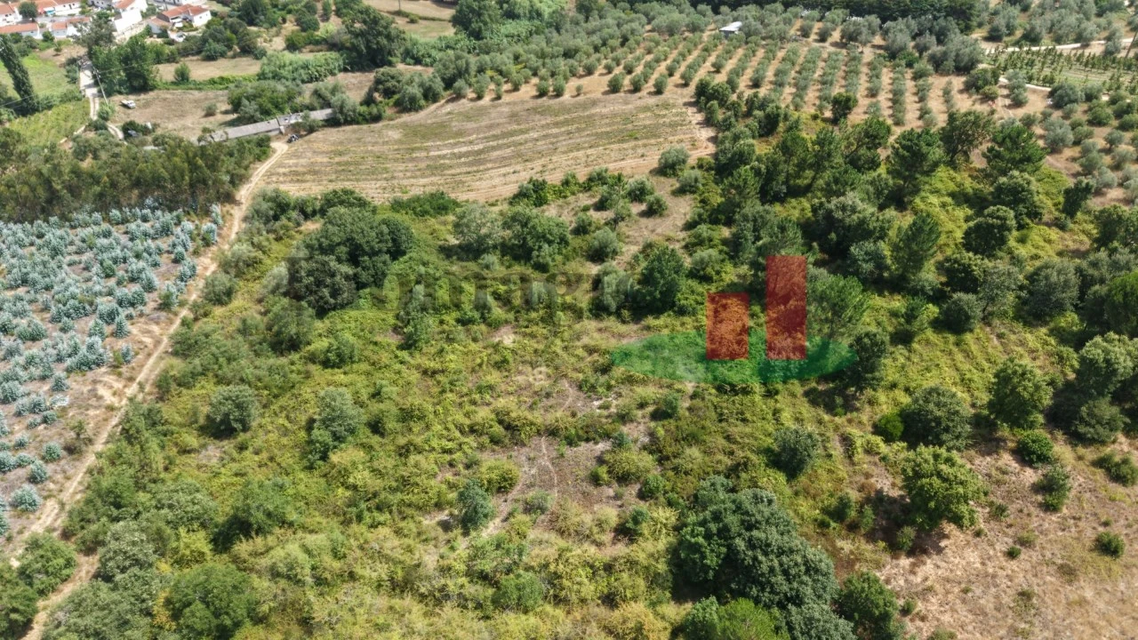 Terreno Agricola ou Rústico para Venda em Asseiceira Foto 6