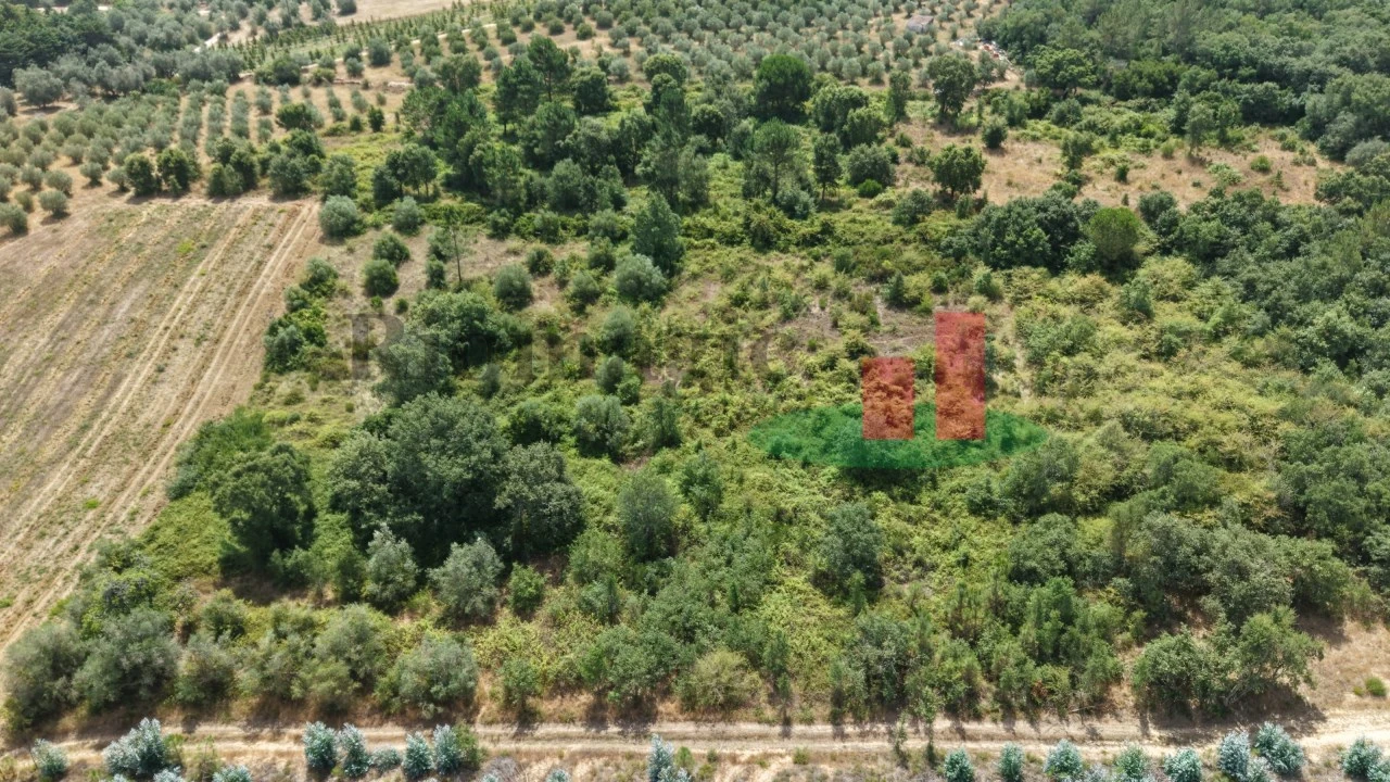 Terreno Agricola ou Rústico para Venda em Asseiceira Foto 7