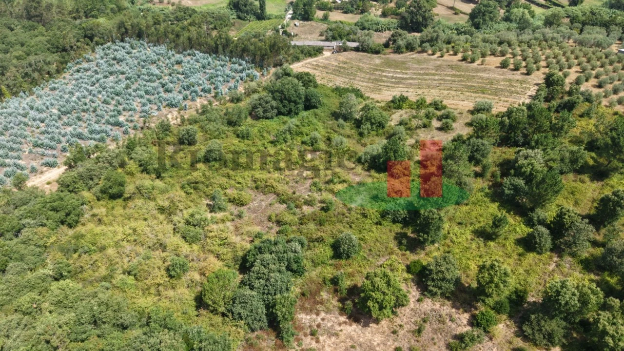 Terreno Agricola ou Rústico para Venda em Asseiceira Foto 8