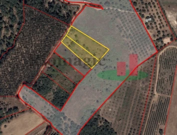 Terreno Agricola ou Rústico para Venda em Asseiceira