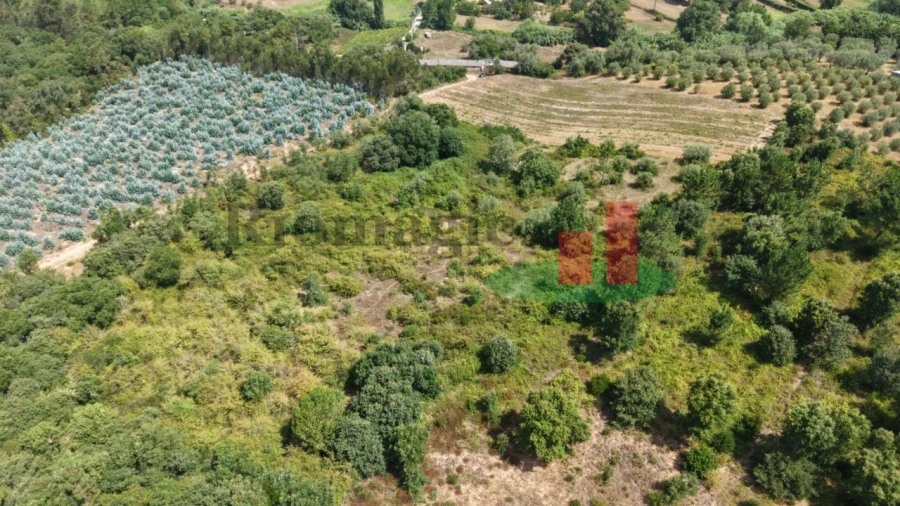 Terreno Agricola ou Rústico para Venda em Asseiceira Foto 8