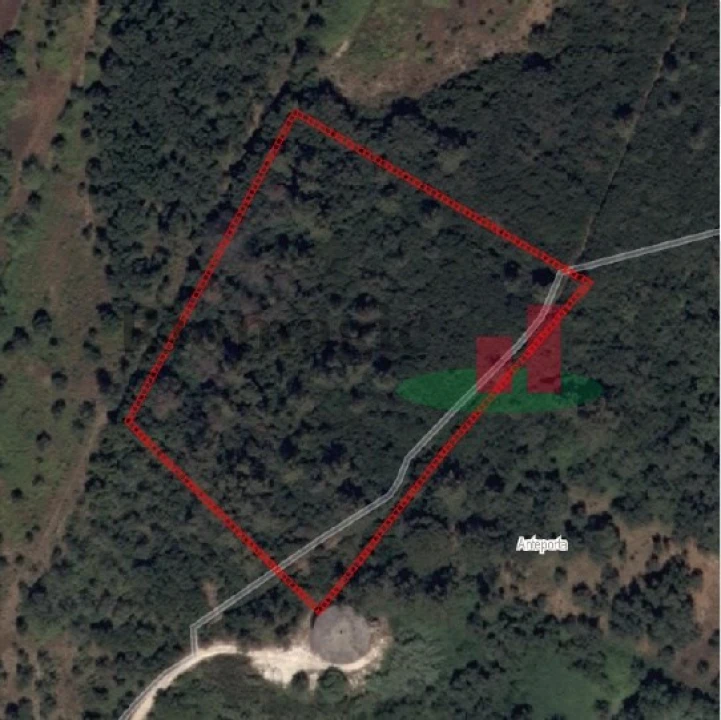 Terreno Agricola ou Rústico para Venda em Rio Maior Foto 1