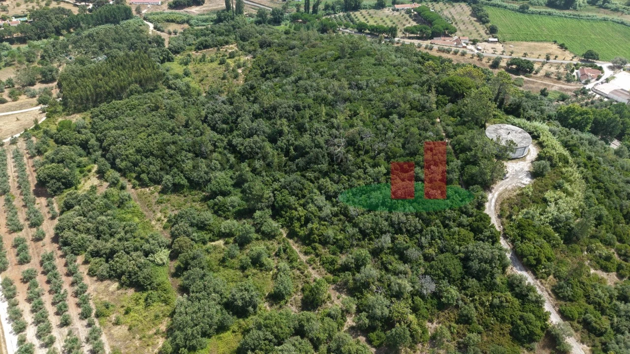 Terreno Agricola ou Rústico para Venda em Rio Maior Foto 3