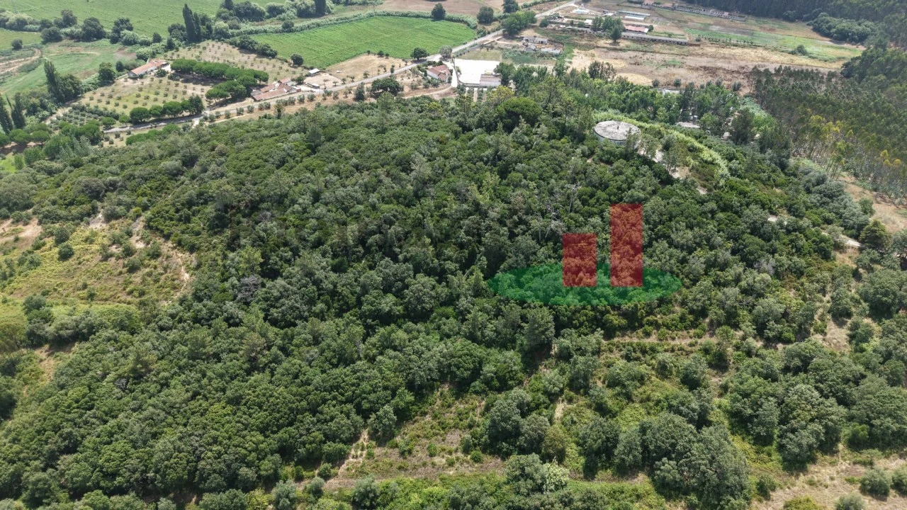 Terreno Agricola ou Rústico para Venda em Rio Maior Foto 4