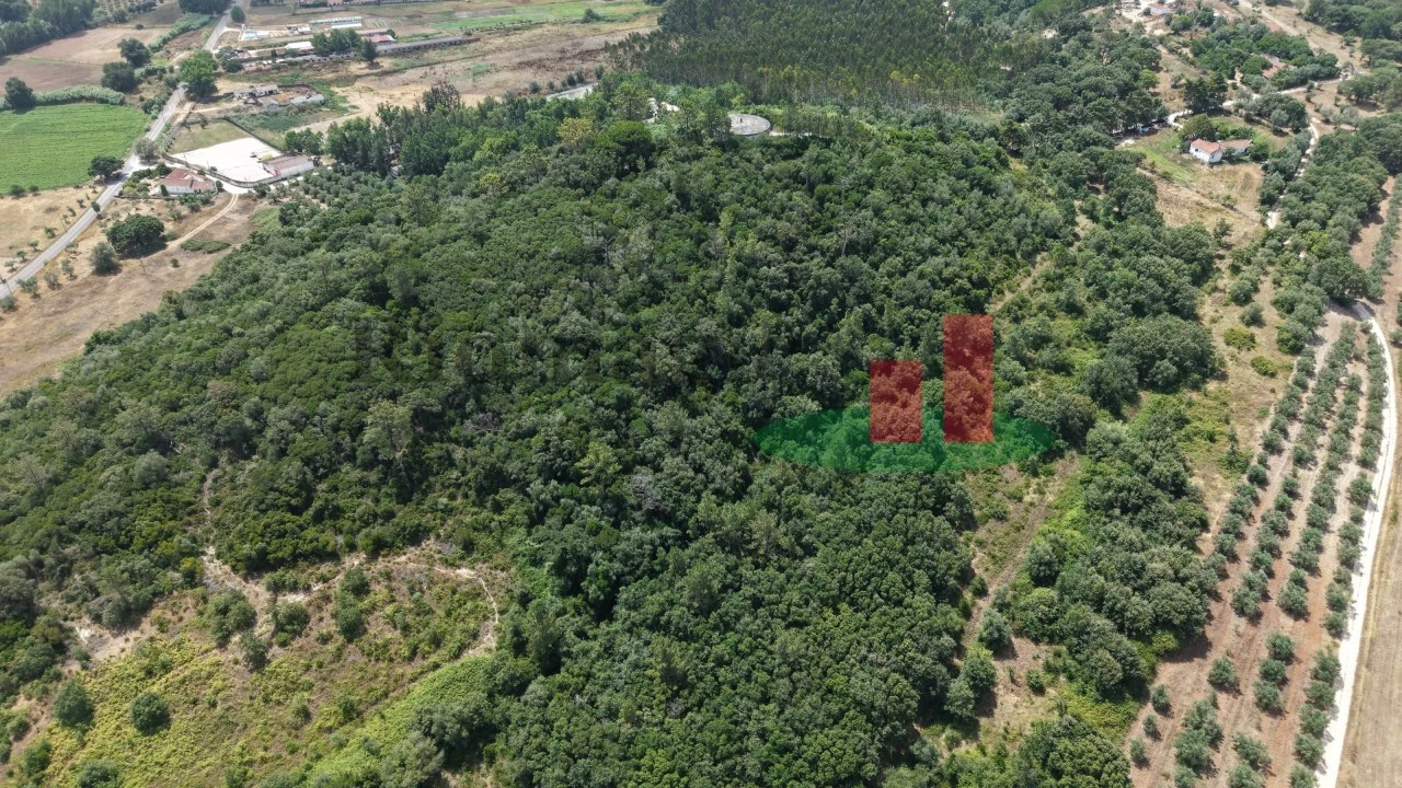 Terreno Agricola ou Rústico para Venda em Rio Maior Foto 5