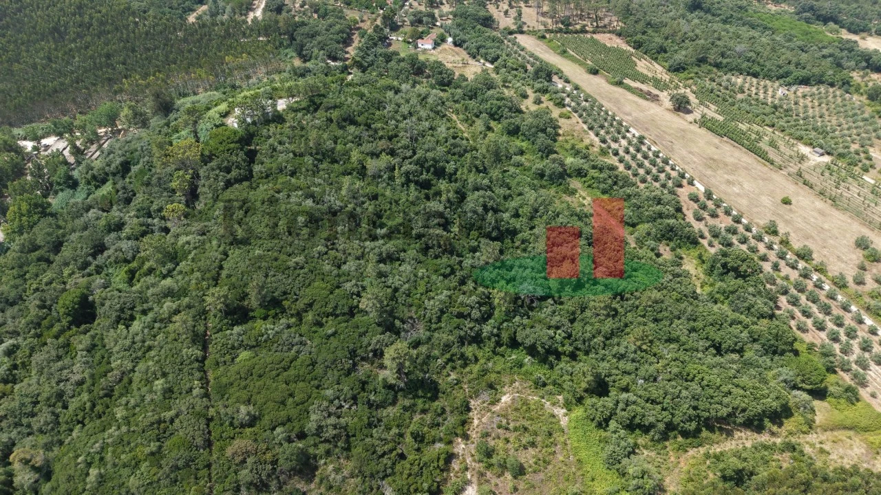 Terreno Agricola ou Rústico para Venda em Rio Maior Foto 6