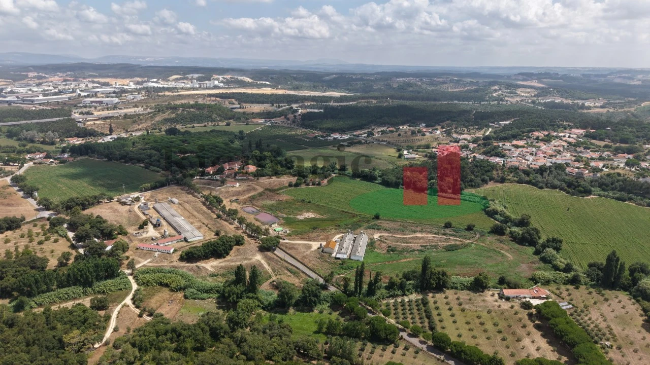 Terreno Agricola ou Rústico para Venda em Rio Maior Foto 8