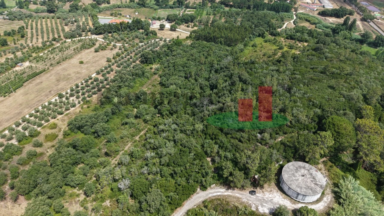 Terreno Agricola ou Rústico para Venda em Rio Maior Foto 10