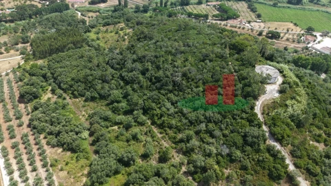 Terreno Agricola ou Rústico para Venda em Rio Maior