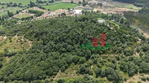 Terreno Agricola ou Rústico para Venda em Rio Maior
