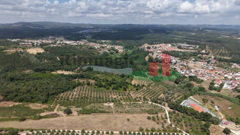 Terreno Agricola ou Rústico para Venda em Rio Maior