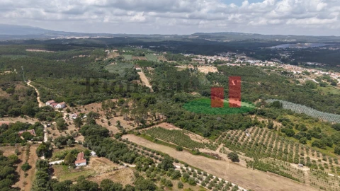 Terreno Agricola ou Rústico para Venda em Rio Maior
