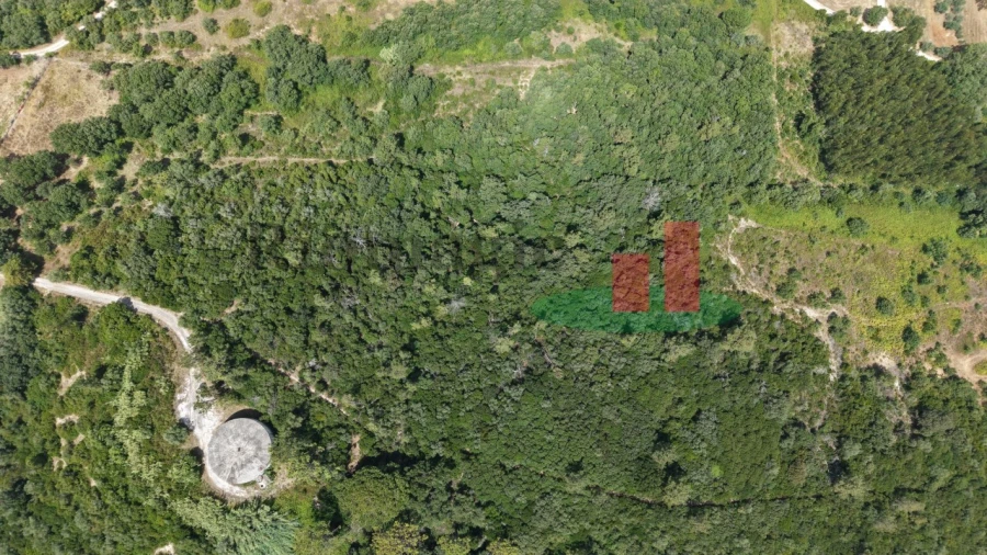 Terreno Agricola ou Rústico para Venda em Rio Maior Foto 2