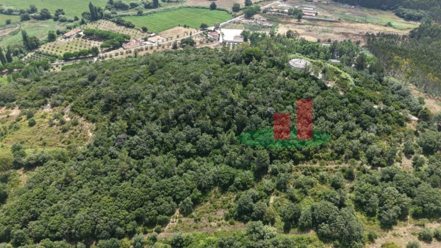 Terreno Agricola ou Rústico para Venda em Rio Maior Foto 4